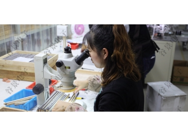 貼片共模電感方向如何區分你知道嗎？